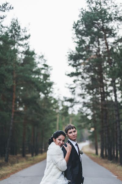 Wedding photographer Mariya Levickaya (mlevitska). Photo of 24 November 2013