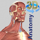 3D Anatomy Download on Windows