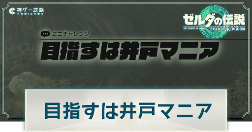 目指すは井戸マニア