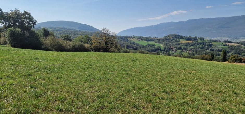 Vente terrain  518 m² à Chilly (74270), 133 000 €