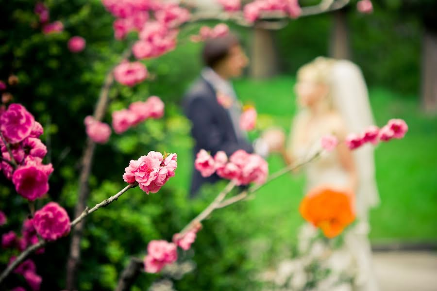 Wedding photographer Vladimir Polupoltinov (vaij). Photo of 26 October 2012