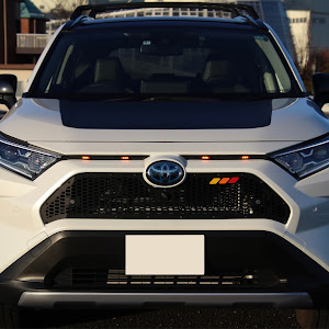 RAV4 AXAH54