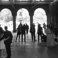  Weddings in Central Park di 