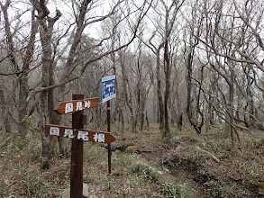 下山は国見尾根に