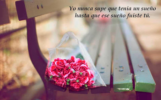 Frases e Imagenes de Amor