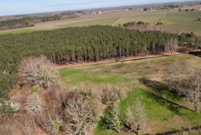  Vente Terrain à bâtir - à Cissac-Médoc (33250) 