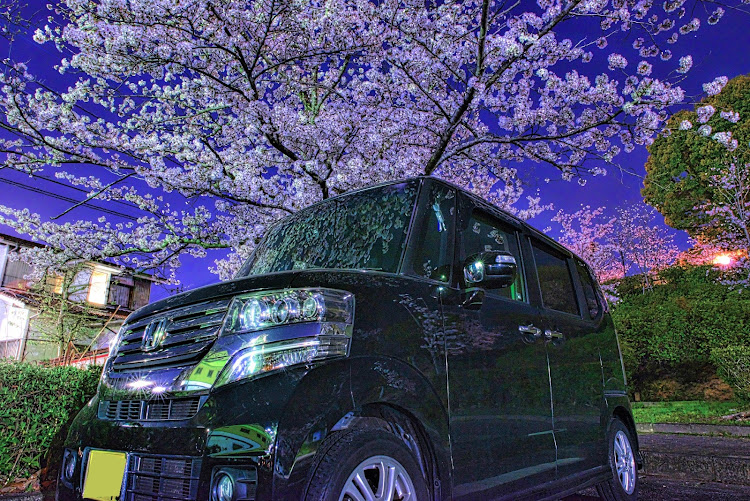 Nボックスカスタムの桜と愛車・夜桜コラボ・勝盛公園・Nikon・単焦点マクロレンズに関するカスタム事例の投稿画像1枚目