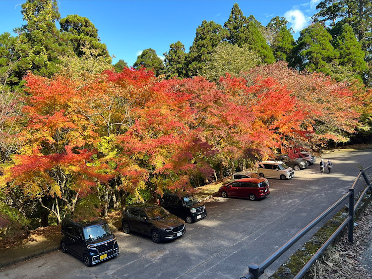 の投稿画像6枚目