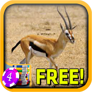 Gazelle Slots - Free 1.5 Icon