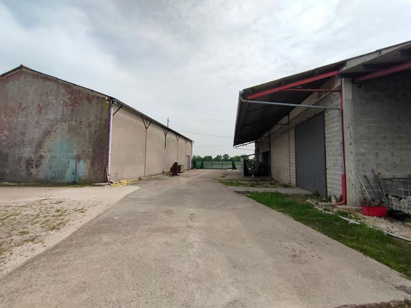 Vente ferme  450 m² à Vayres (33870), 334 000 €