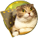 3D Live chubby Cute Kitty Keyboard icon