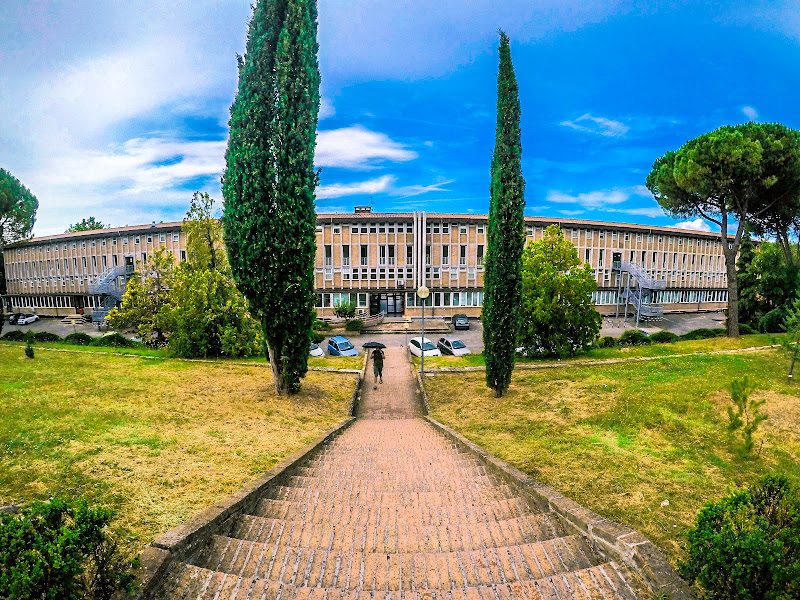 Punto di fuga dalla facoltà. di Lincefantasiosa