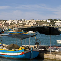 Pesca Maltese di 