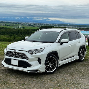 RAV4 MXAA54