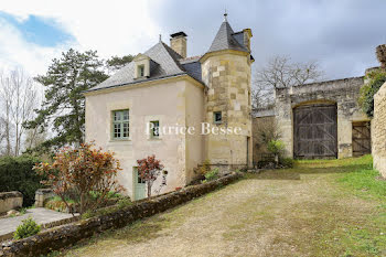 manoir à Cravant-les-Côteaux (37)