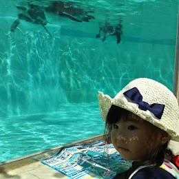 下田海中水族館