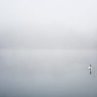 Sul lago di Varese di 