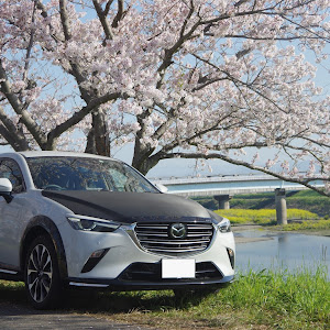 CX-3 DK8FW