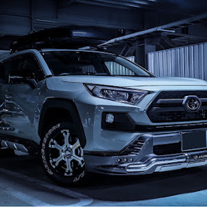 RAV4 MXAA54