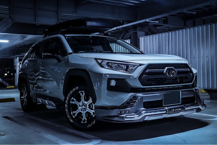RAV4のゴーヤちゃん・先輩です・立体駐車場・盛りに盛れるに関するカスタム事例の投稿画像1枚目