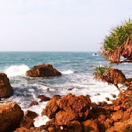 海洋美景活海鮮餐廳