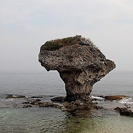 洪媽媽早餐