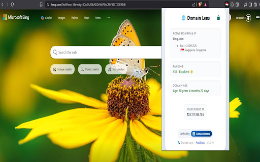 DomainLens screenshot 2
