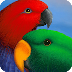 Cover Image of Download HD Parrot Wallpaper 1.01 APK