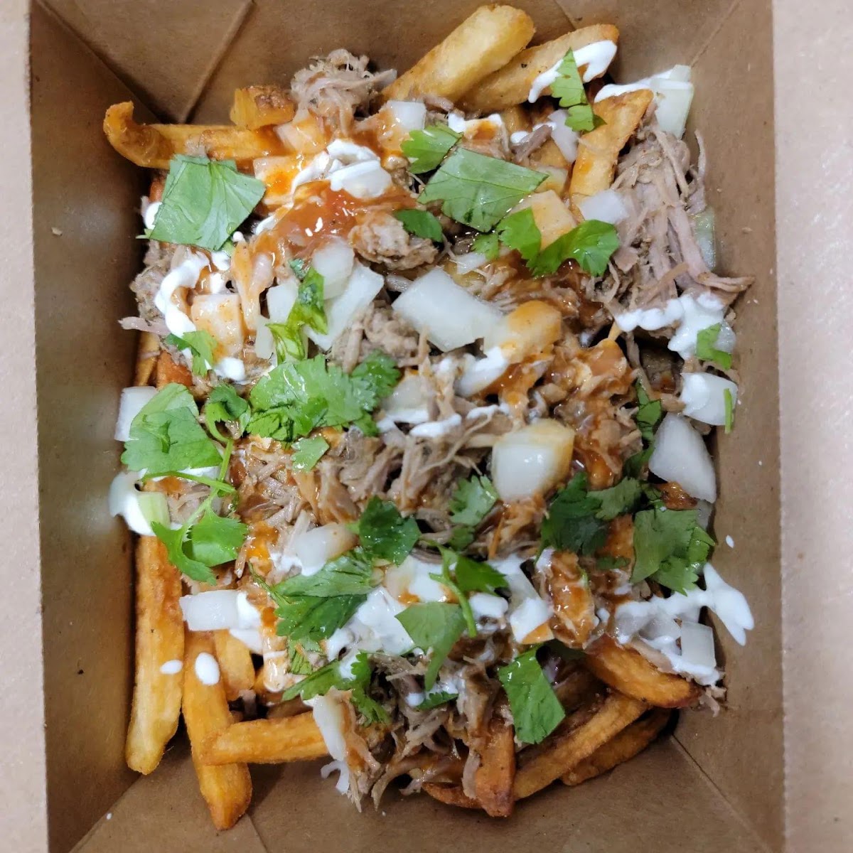 Carnitas Fries