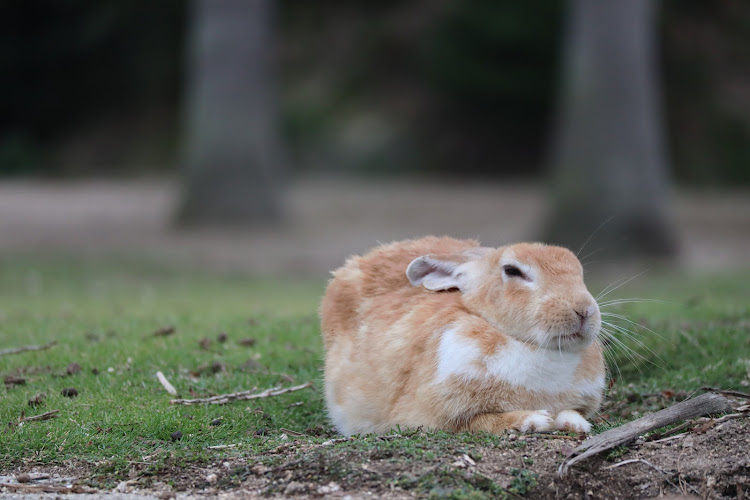 の投稿画像5枚目