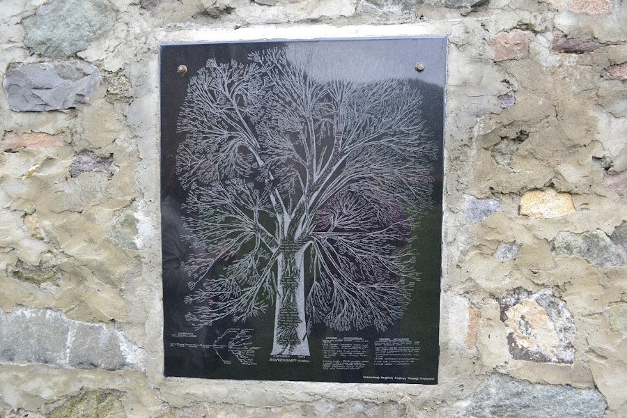 Армения: сокровища нации