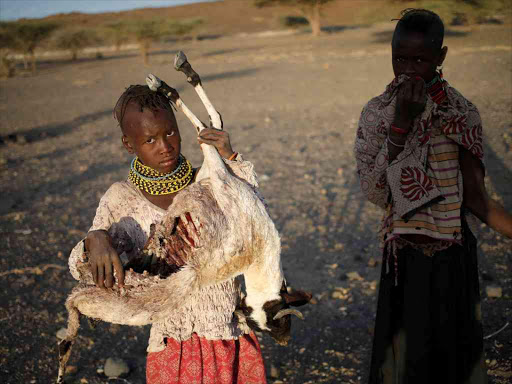 Girls carry carcasses of goats in a village near Loiyangalani, Turkana, on March 21