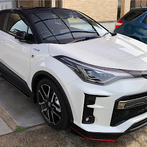 C-HR ZYX11