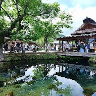 綠風草原餐廳