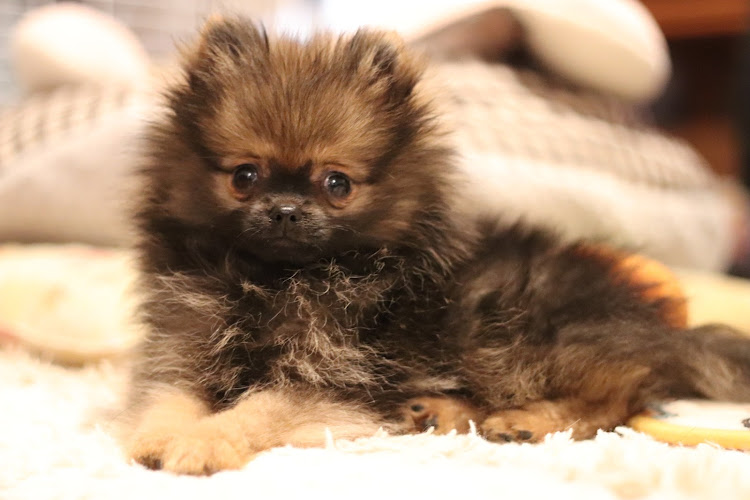 クラウンロイヤルのクラウン210系・いつもイイね＆コメントありがとうございます🙇‍♀️🍀・210クラウン・RoyalSaloon・家族車で満車に関するカスタム事例の投稿画像3枚目