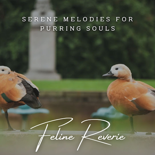 Feline Reverie: Meditative Piano For Cat Serenity