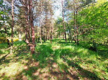 terrain à Bouzy-la-Forêt (45)