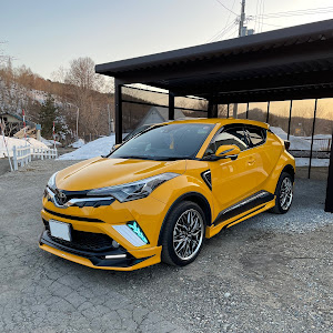 C-HR NGX50