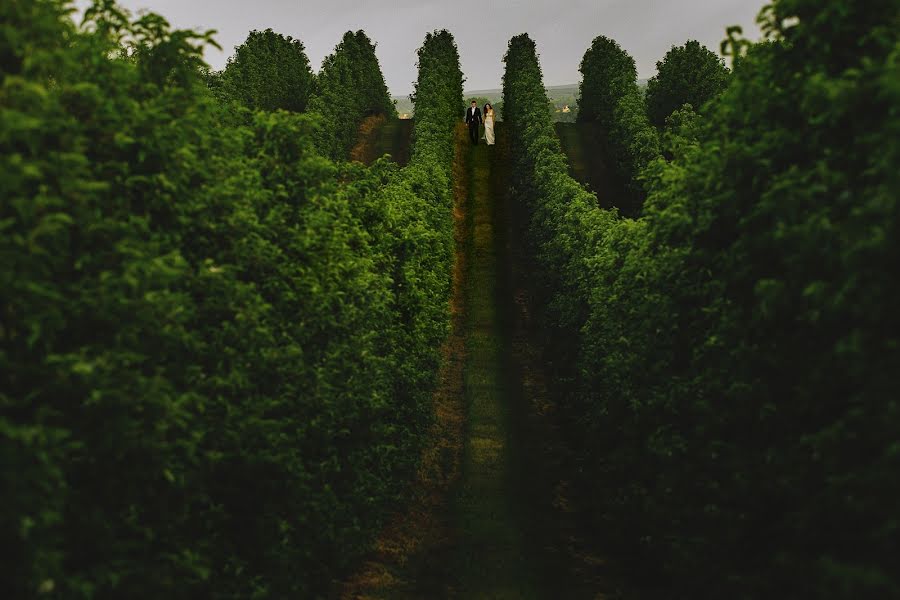 Vestuvių fotografas Maciek Januszewski (maciekjanuszews). Nuotrauka 2017 kovo 19