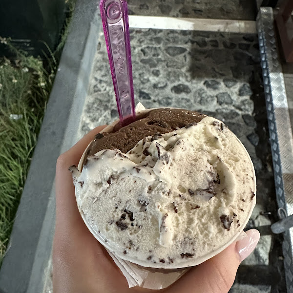 Gluten-Free Gelato at Solo Gelato