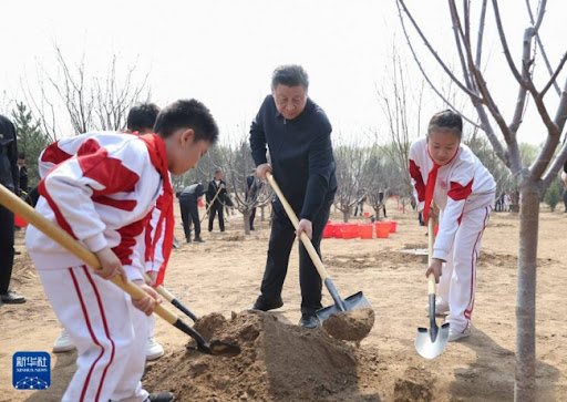 Si posadio drveće u akciji pošumljavanja u Pekingu