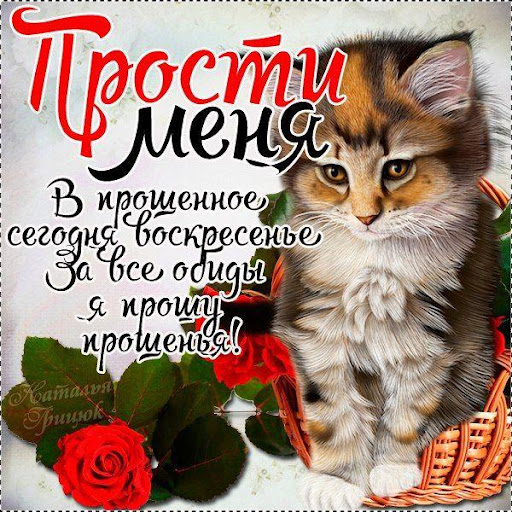 Прости Меня открытки и картинки
