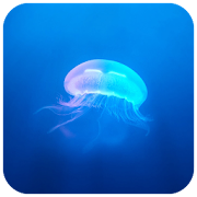 Jellyfish CM locker Theme  Icon