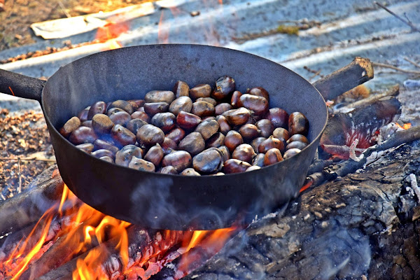 odore di castagne al fuoco di Luciano Fontebasso