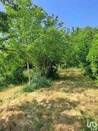 terrain à Ambillou (37)