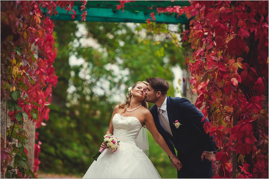 Fotógrafo de bodas Sergey Nikitin (medsen). Foto del 27 de febrero 2014