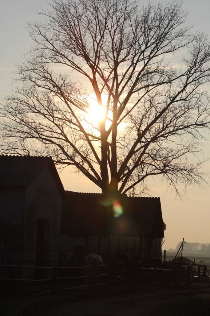 Tramonto in cascina di Sasu