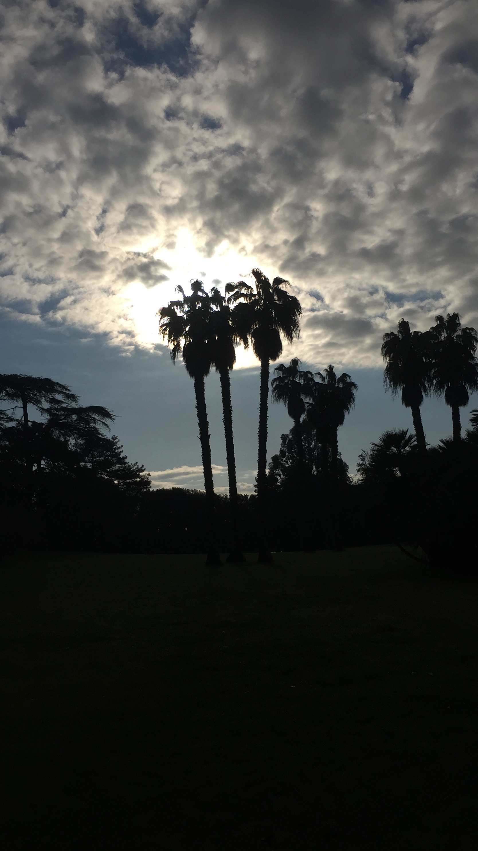 Sun di sasi_filippone