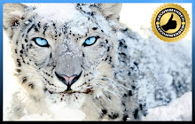 *NEW* HD Snow Leopards Wallpaper New Tab small promo image