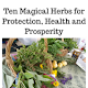 Download Herbs for protection For PC Windows and Mac 1.0